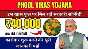 खेती से बदलेगी किस्मत! इस खास फूल पर मिल रही ₹40,000 की सरकारी सब्सिडी, जानिए कैसे शुरू करें कारोबार! Phool Vikas Yojana