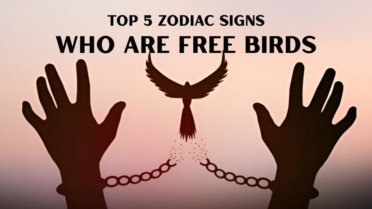 Top 5 Zodiac Signs Who Are Free Birds
